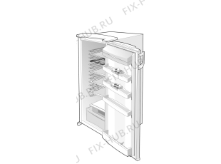 Холодильник Gorenje R4225W (102001, HS2226) - Фото